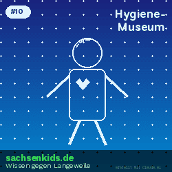 Was kann man im Deutschen Hygiene-Museum in Dresden lernen?