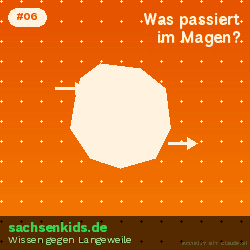 Was passiert in deinem Magen mit dem Essen?