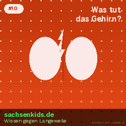 Was tut das Gehirn für dich?