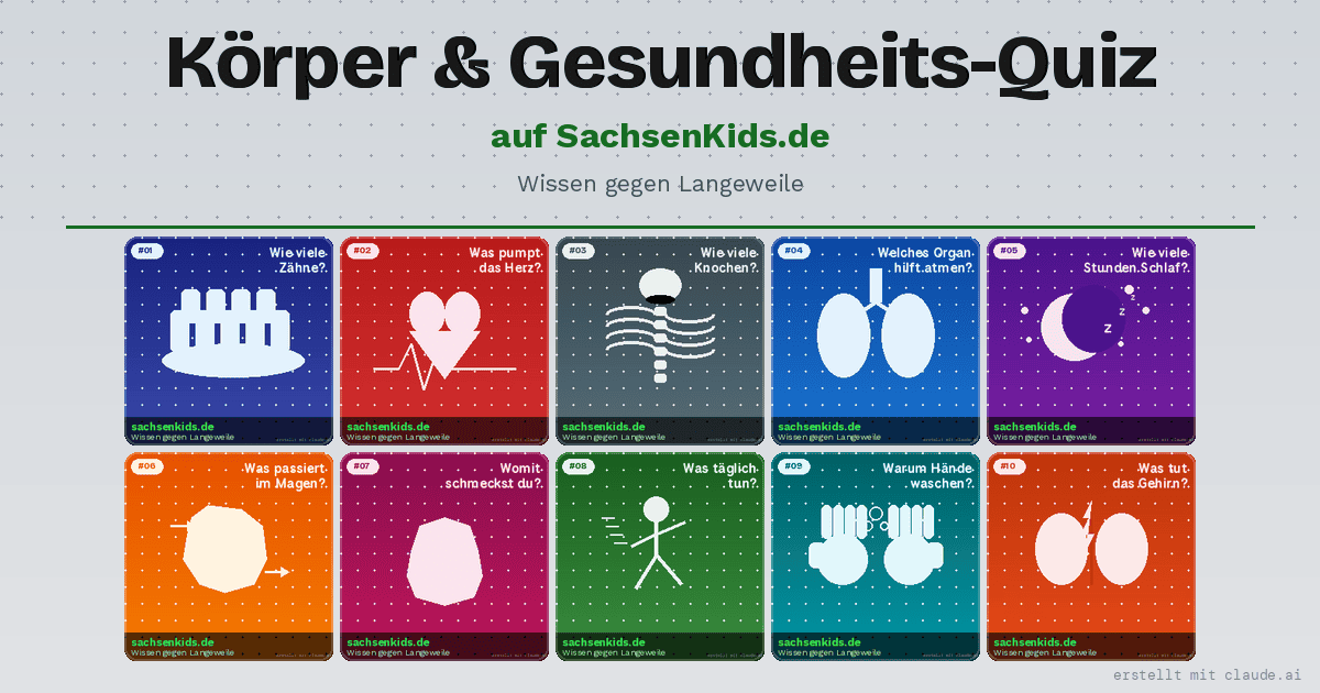 Körper & Gesundheits-Quiz für Kinder (6–10 Jahre): 10 Fragen über Herz, Gehirn, Zähne & Co. Wissen testen, Neues entdecken – kostenlos auf sachsenkids.de!