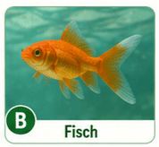 Fisch