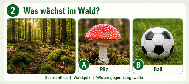 Waldquiz für Kinder mit Pilz und Ball, Natur, Lernen, Spaß.