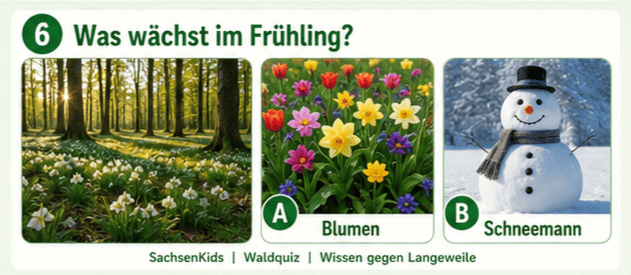Bunte Frühlingsblumen in einem Garten mit Sonnenlicht.