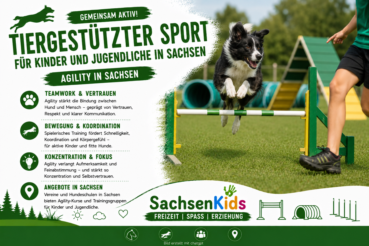 Agility als Sport für Kinder und Jugendliche
