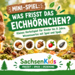 Im Arztkoffer herrscht ein buntes Durcheinander und nur ein echter Spürnasen-Profi kann Ordnung schaffen! Schau genau hin, entdecke die medizinischen Helfer und sortiere sie an den richtigen Platz.